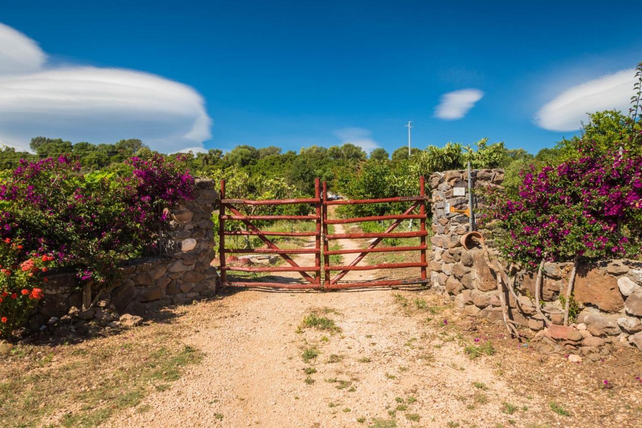 Sa Tanca 'E Pedduzza Villa Орозеи Екстериор снимка