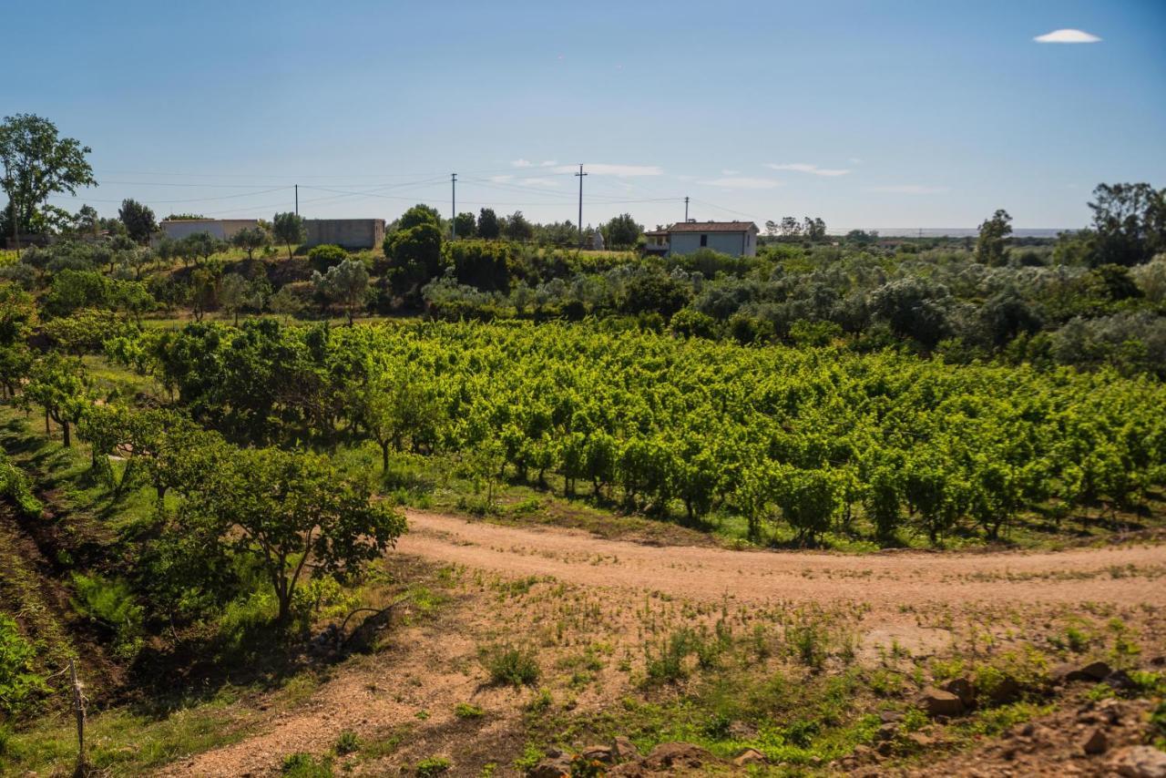 Sa Tanca 'E Pedduzza Villa Орозеи Екстериор снимка