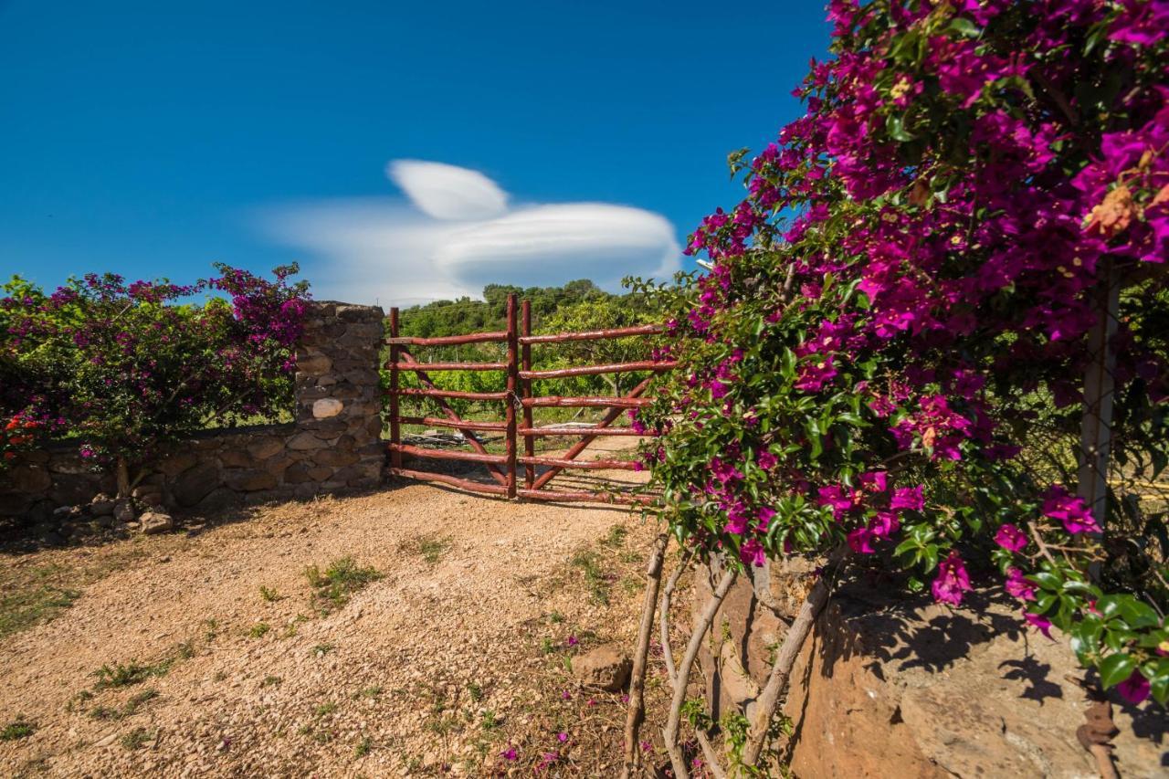 Sa Tanca 'E Pedduzza Villa Орозеи Екстериор снимка
