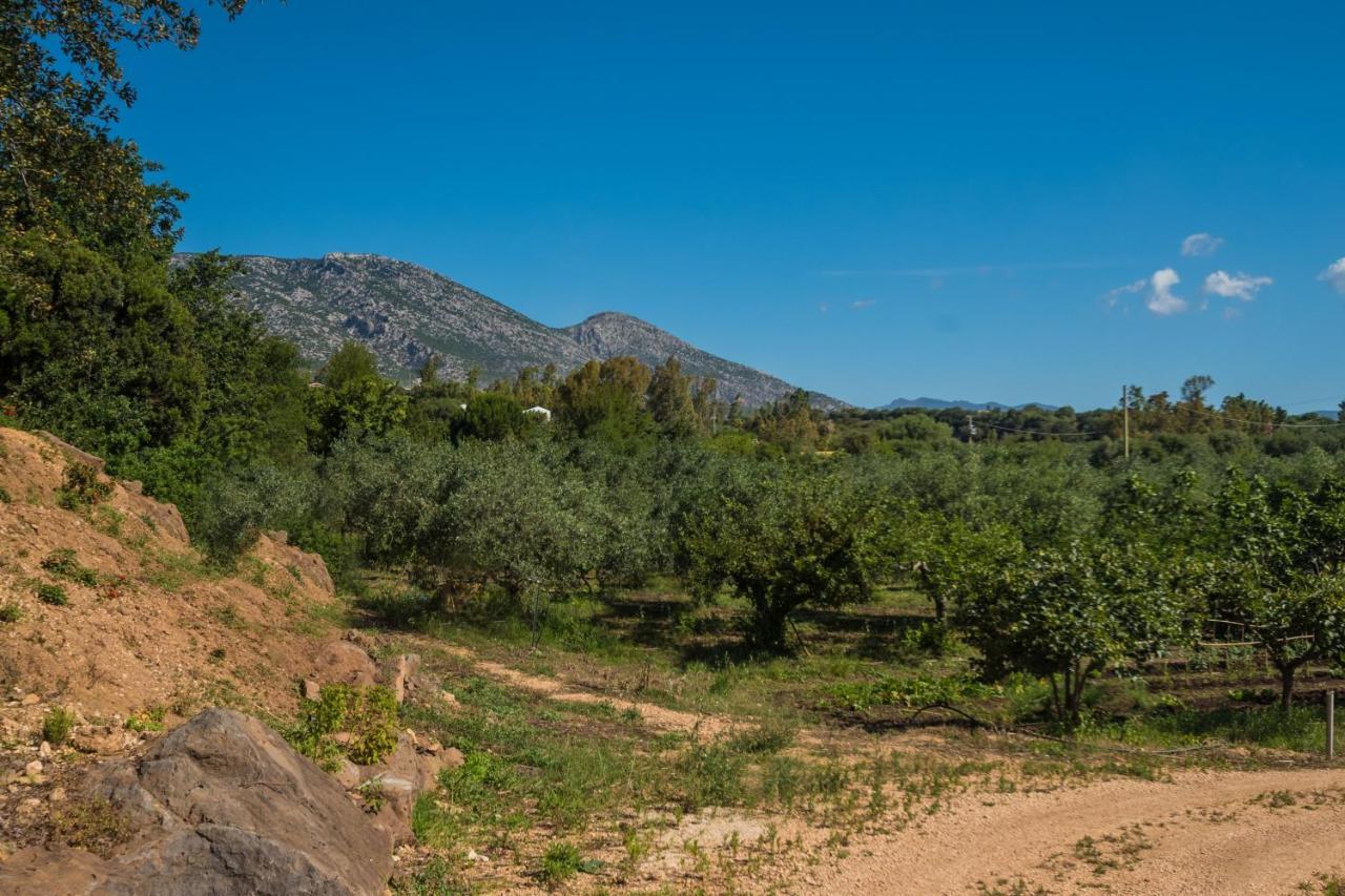 Sa Tanca 'E Pedduzza Villa Орозеи Екстериор снимка